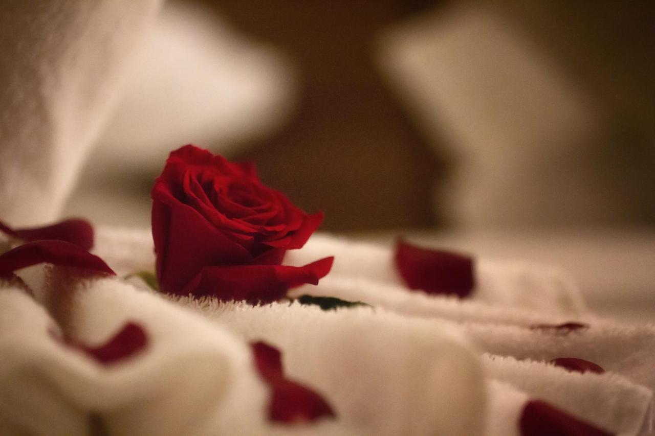 Hotel Al Safwah Orchid 5*