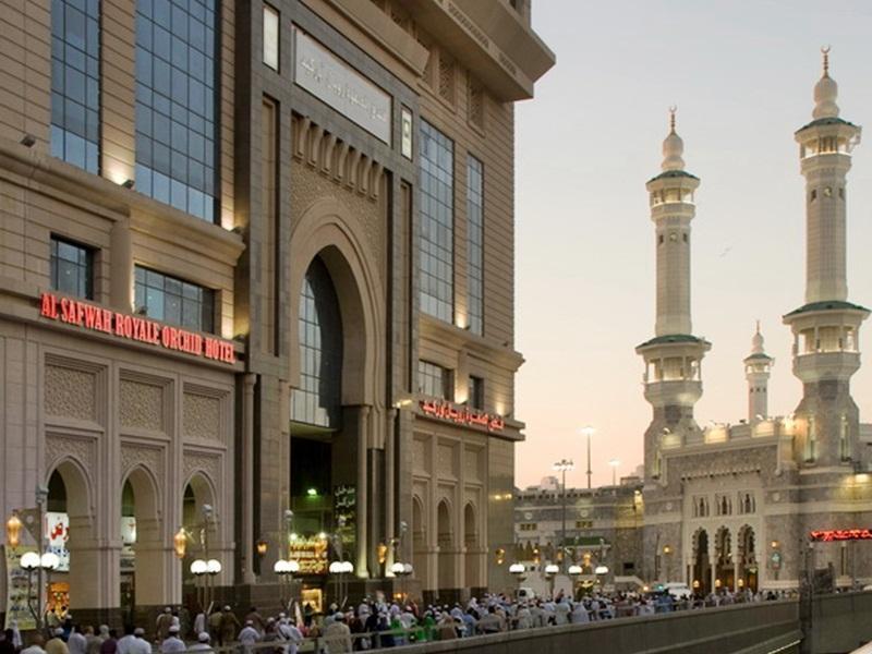 Al Safwah Orchid
