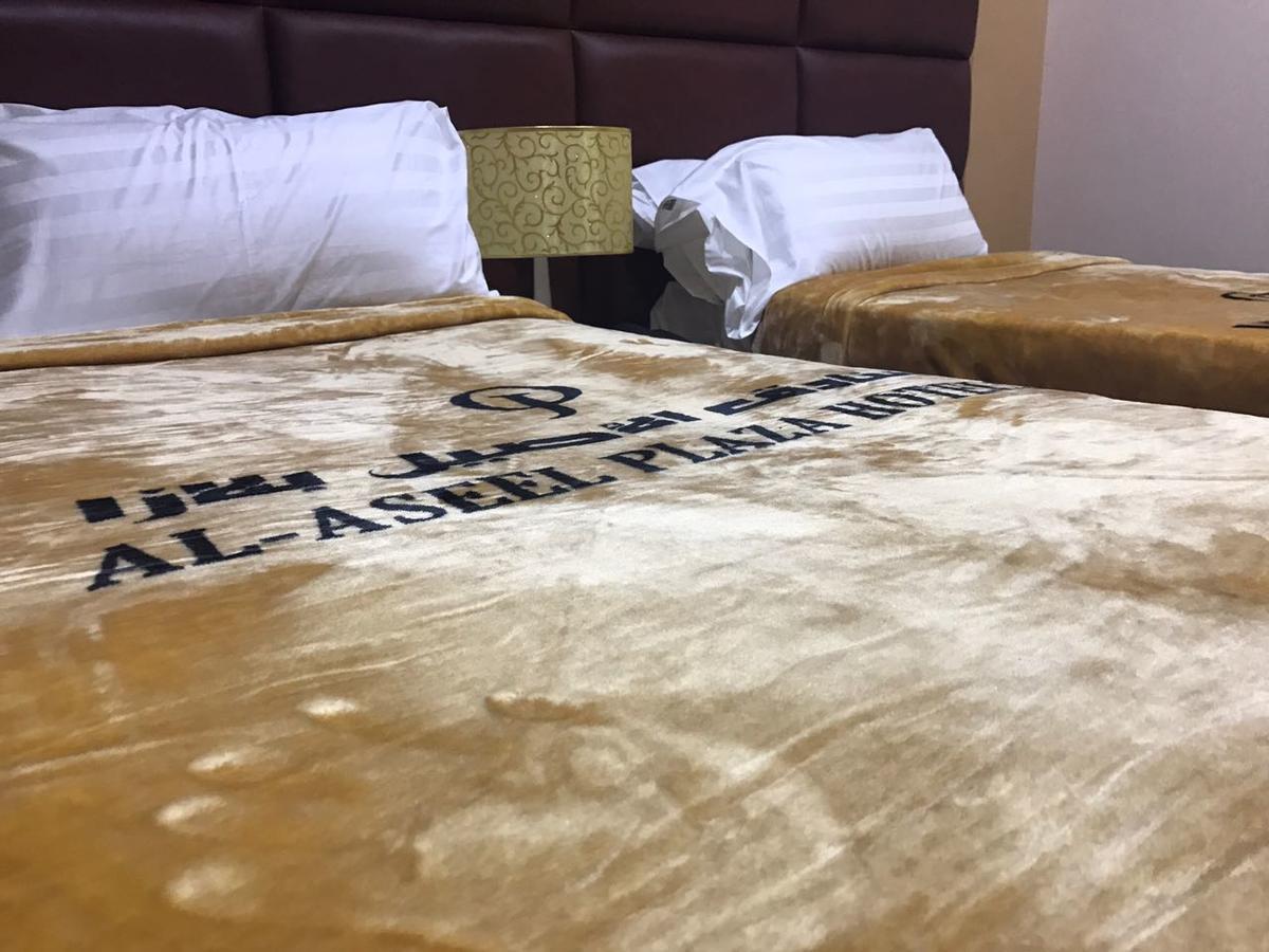 Hotel Alwan Al Aseel 3*