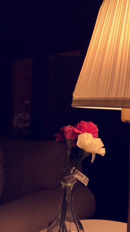 Lodge Al Koukh Al Swissri
