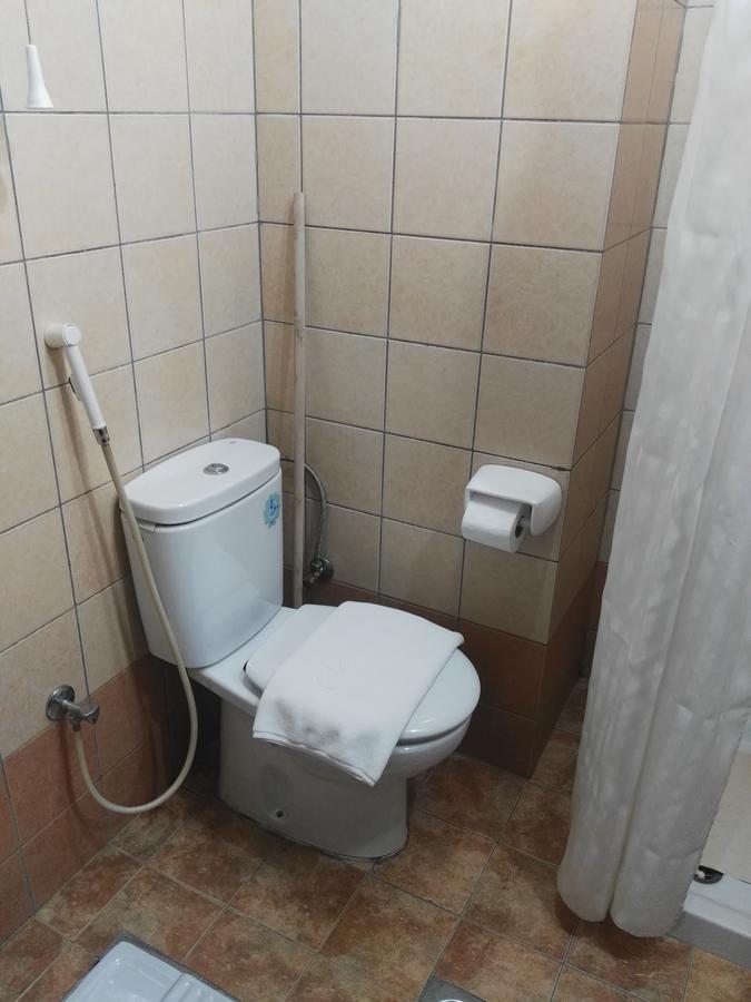 Forsan Al Aseel Hotel