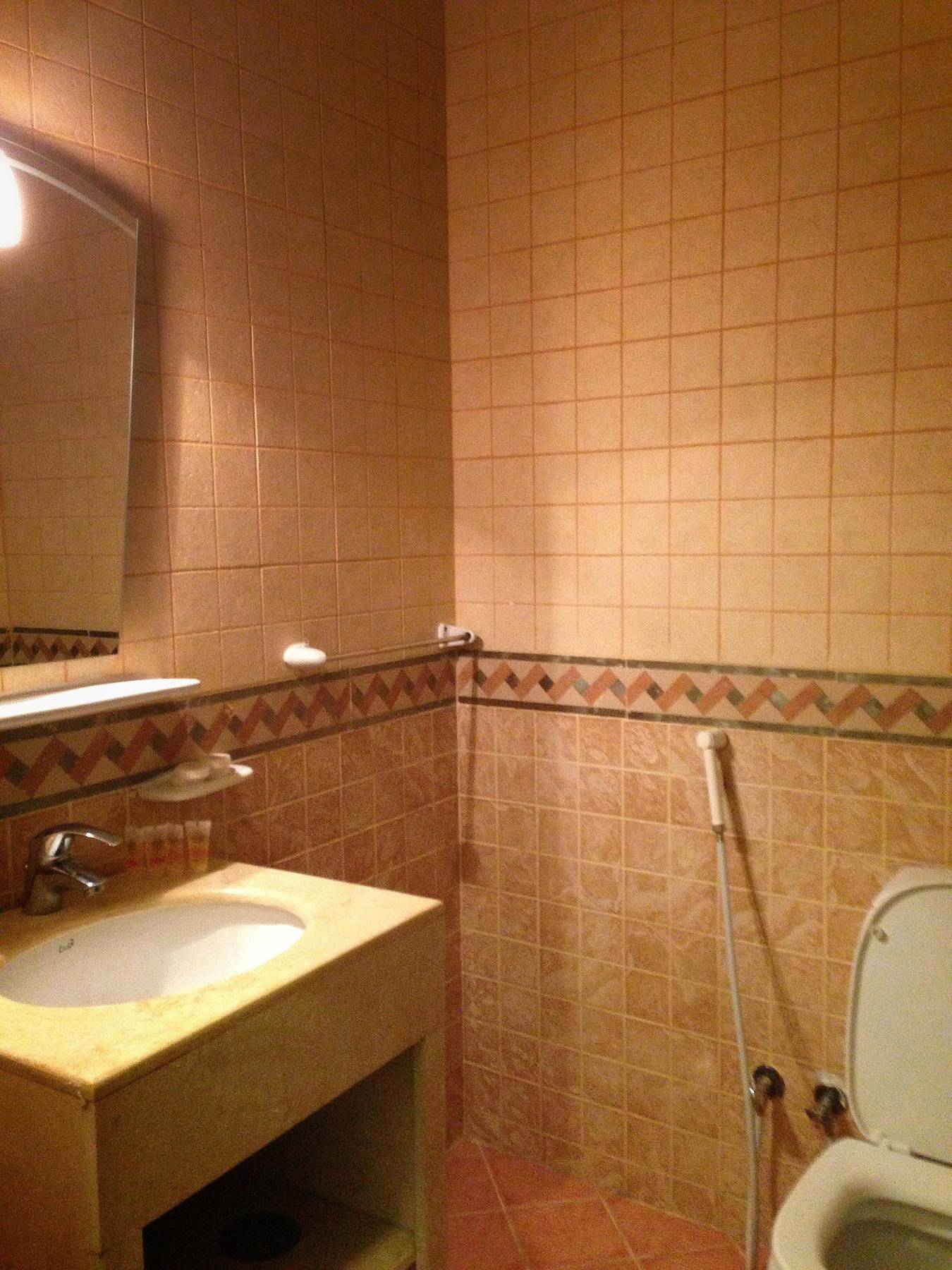 Hotel Qasr Ajyad Alsad *