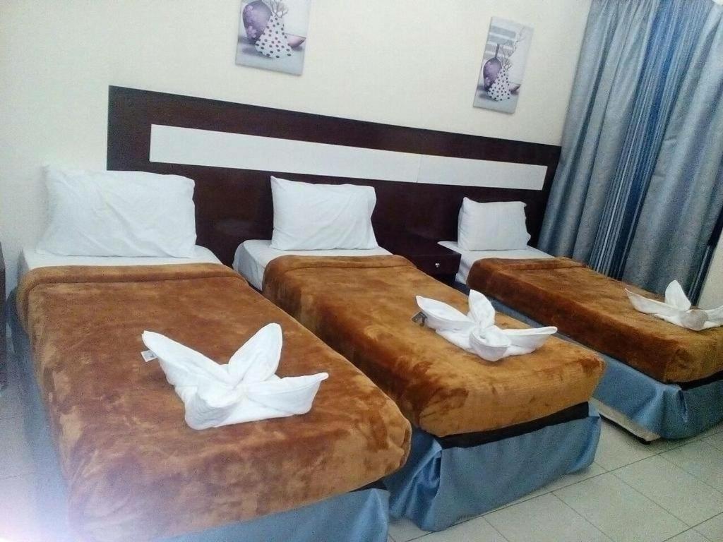 فندق تيماء الششة Hotel *