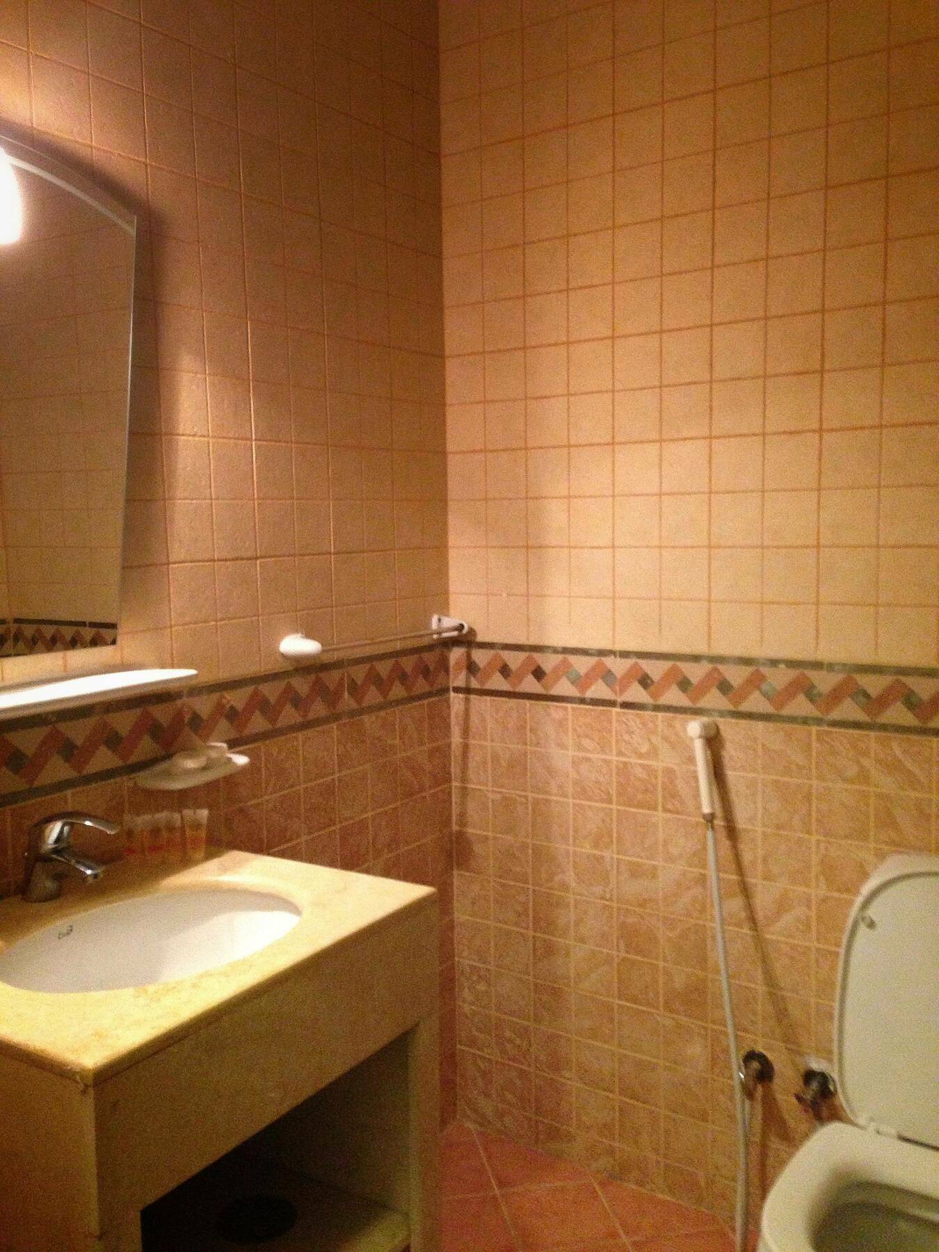 Qasr Al Azizia Hotel 3*